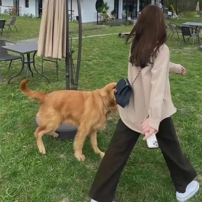 浪行者